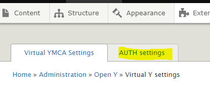 A screenshot of the the Virtual Y settings tabs with “AUTH Settings” highlighted